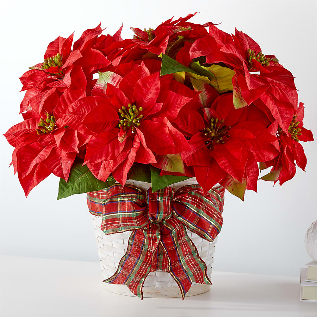 Happiest Holidays Poinsettia – ANGELOS FLOWERS & GIFTS INC, Mississauga ON