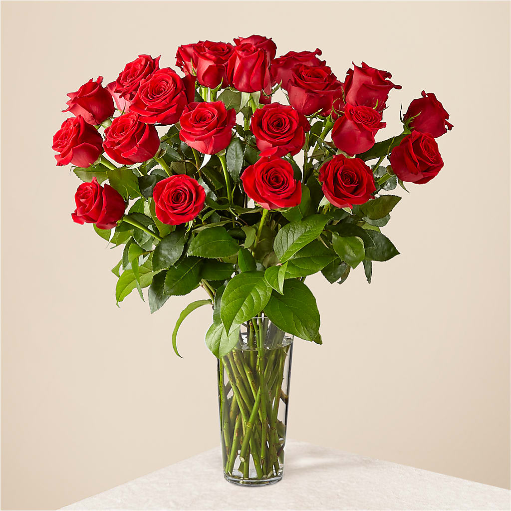 Long Stem Red Rose Bouquet – ANGELOS FLOWERS & GIFTS INC, Mississauga ON