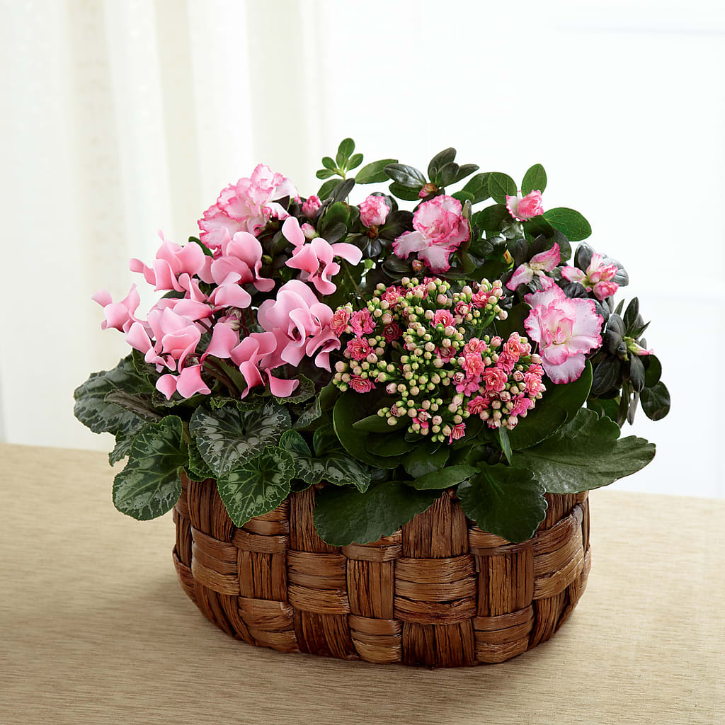 Pink Assortment – ANGELOS FLOWERS & GIFTS INC, Mississauga ON
