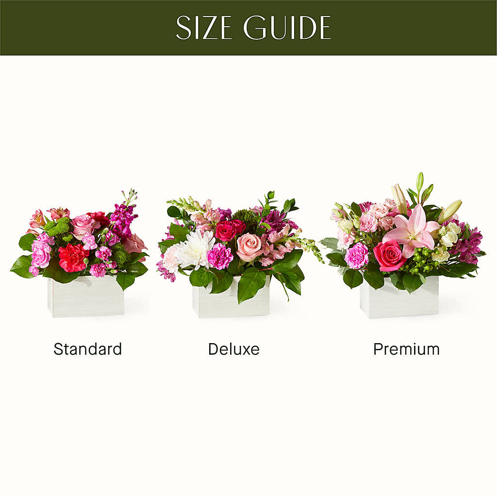 Sweetberry Box – A Florist Original – ANGELOS FLOWERS & GIFTS INC, Mississauga ON