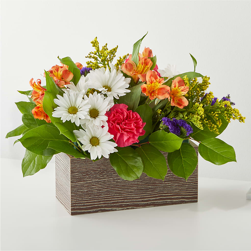 Oopsie Daisy Box Bouquet – ANGELOS FLOWERS & GIFTS INC, Mississauga ON