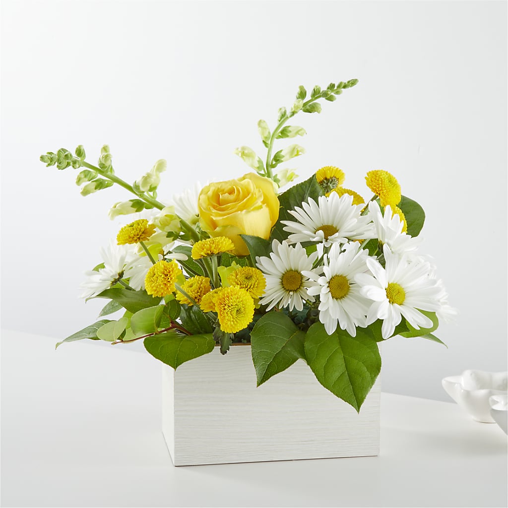Sun Salutation Box Bouquet – ANGELOS FLOWERS & GIFTS INC, Mississauga ON