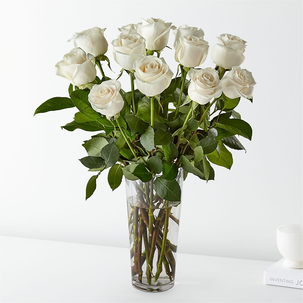Long Stem White Rose Bouquet – ANGELOS FLOWERS & GIFTS INC, Mississauga ON