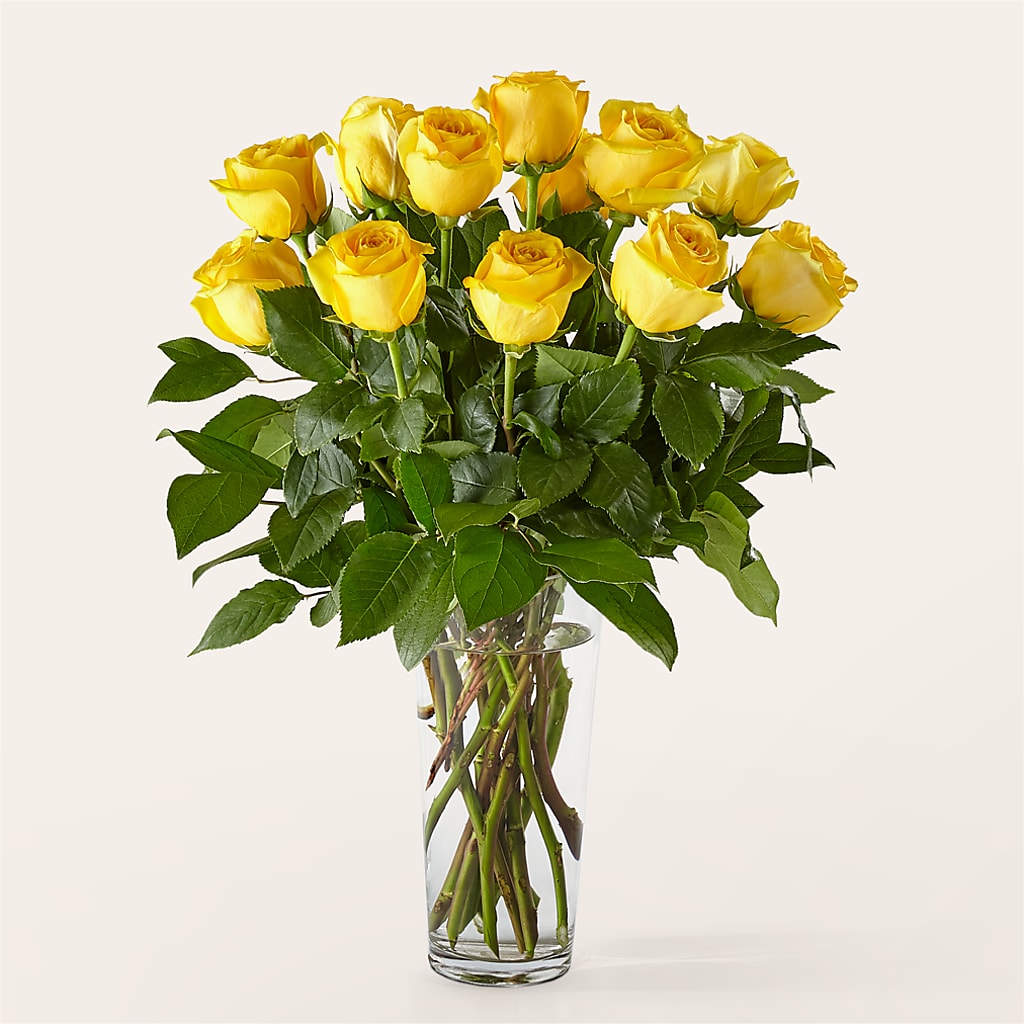 Long Stem Yellow Rose Bouquet – ANGELOS FLOWERS & GIFTS INC, Mississauga ON