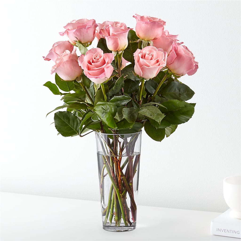 Long Stem Pink Rose Bouquet – ANGELOS FLOWERS & GIFTS INC, Mississauga ON