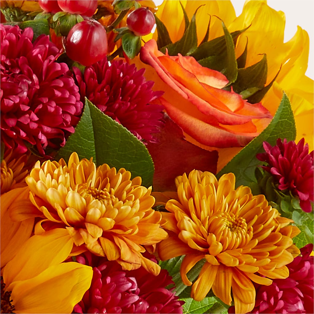 Sweater Season - A Florist Original – ANGELOS FLOWERS & GIFTS INC, Mississauga ON