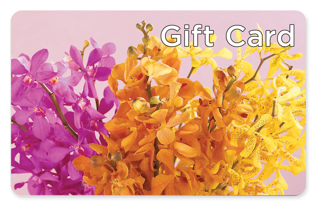 Gift Card – ANGELOS FLOWERS & GIFTS INC, Mississauga ON