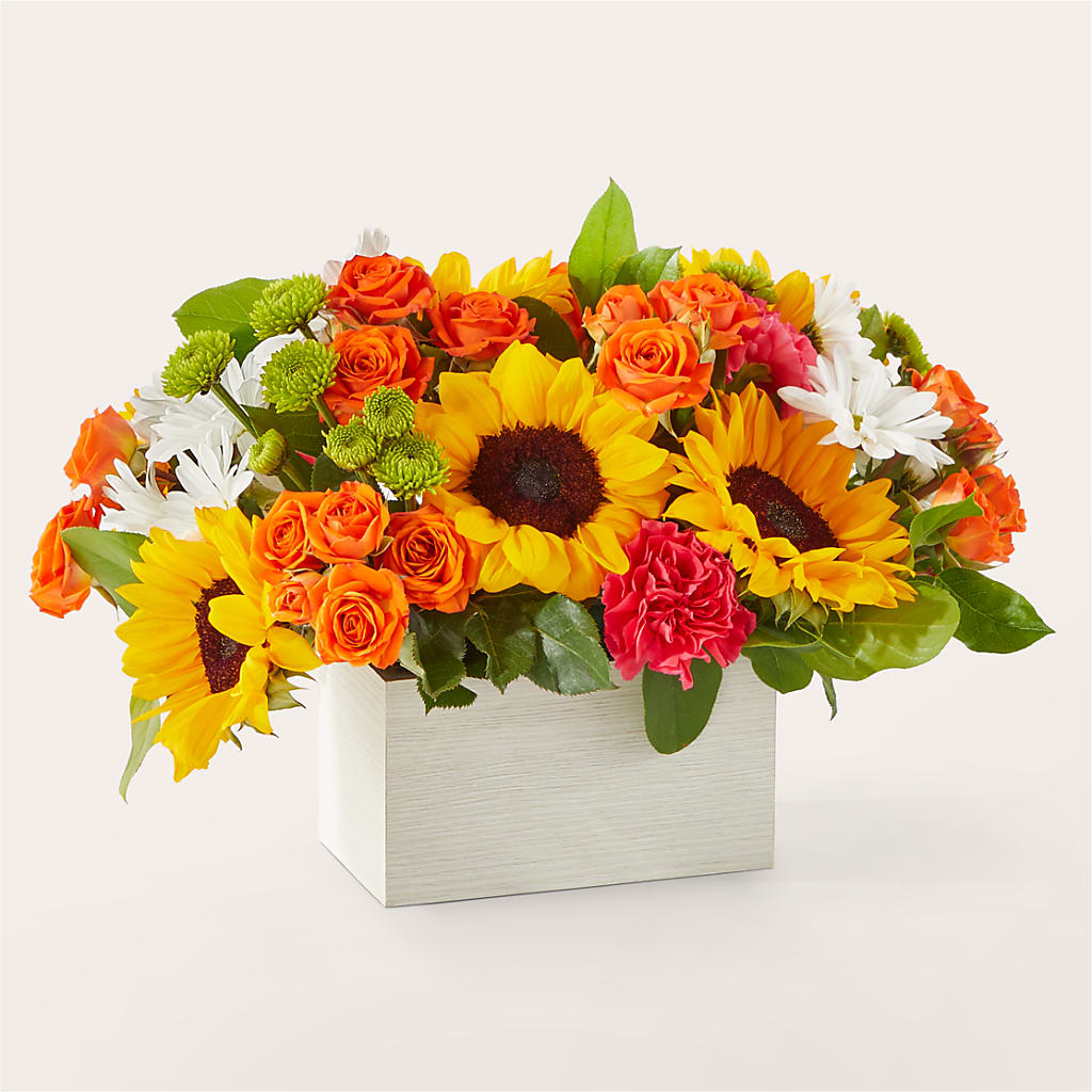 Sun-drenched Blooms Box Bouquet – ANGELOS FLOWERS & GIFTS INC, Mississauga ON