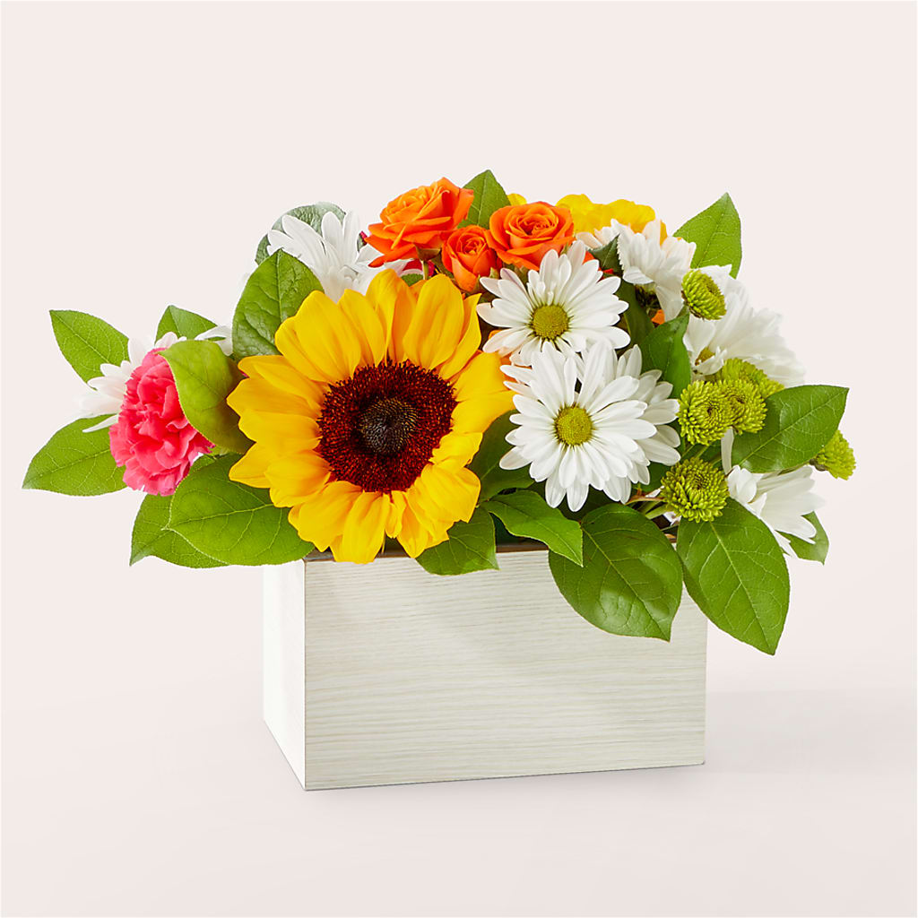 Sun-drenched Blooms Box Bouquet – ANGELOS FLOWERS & GIFTS INC, Mississauga ON