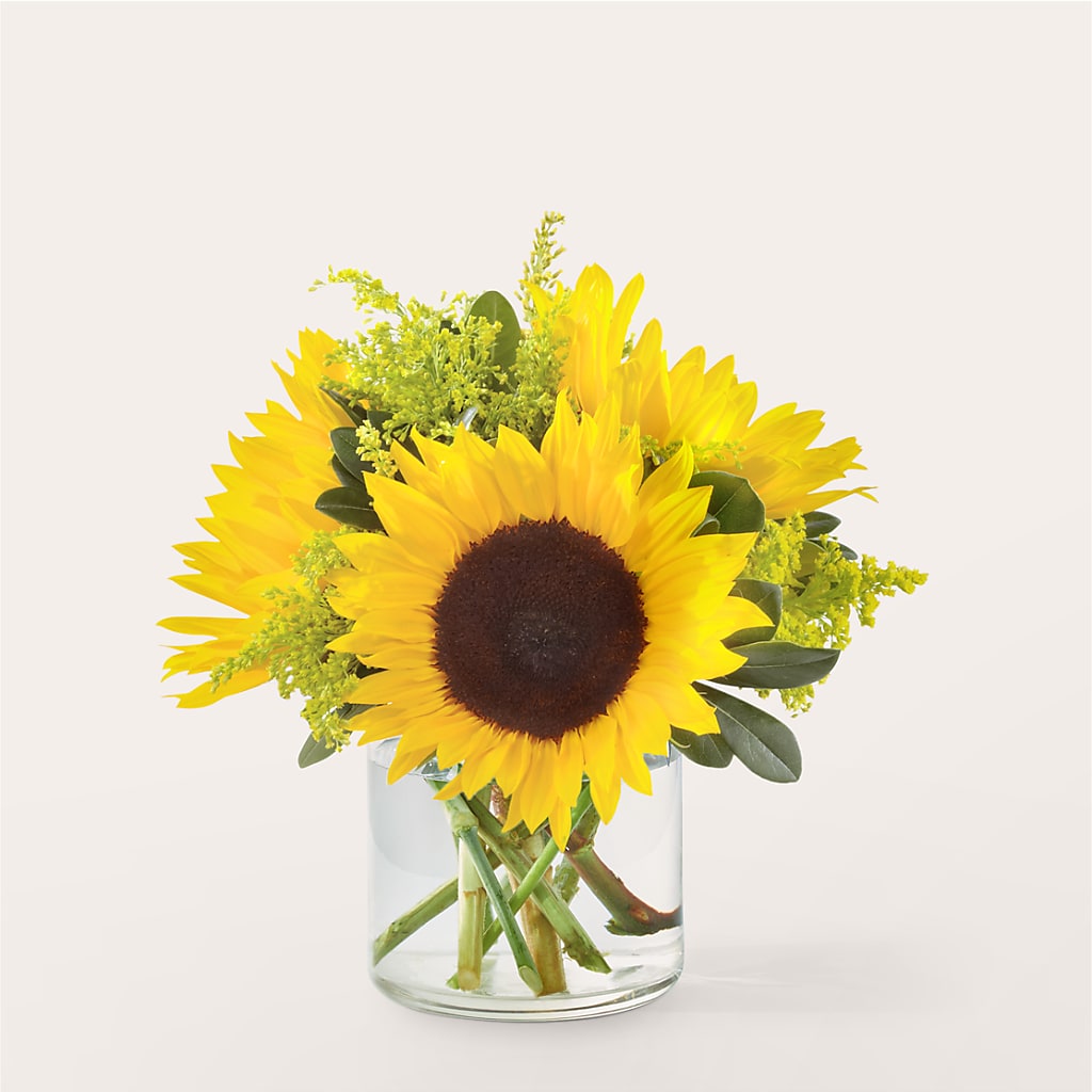 Beaming Sunflower Bouquet – ANGELOS FLOWERS & GIFTS INC, Mississauga ON