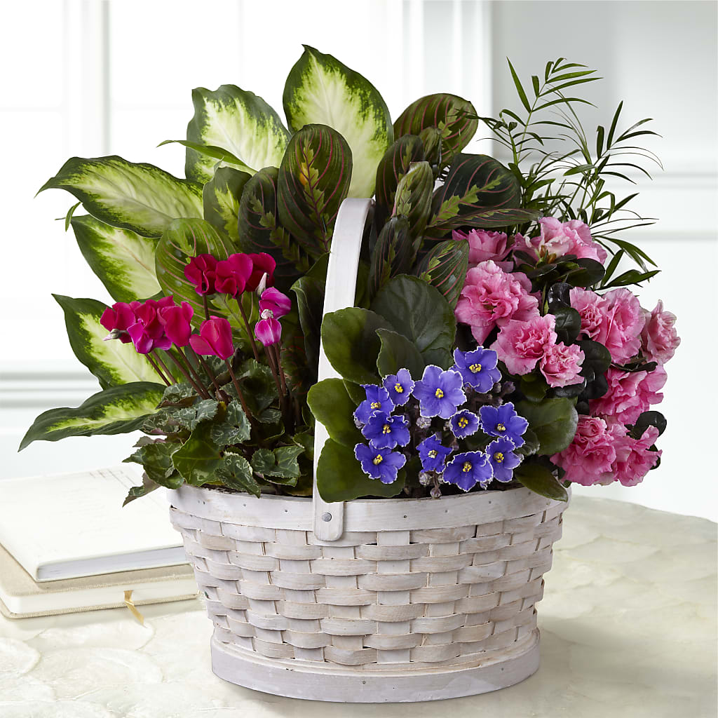 Peaceful Garden Planter – ANGELOS FLOWERS & GIFTS INC, Mississauga ON