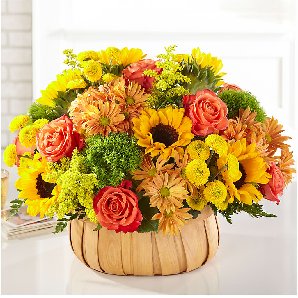 Harvest Sunflower Basket – ANGELOS FLOWERS & GIFTS INC, Mississauga ON