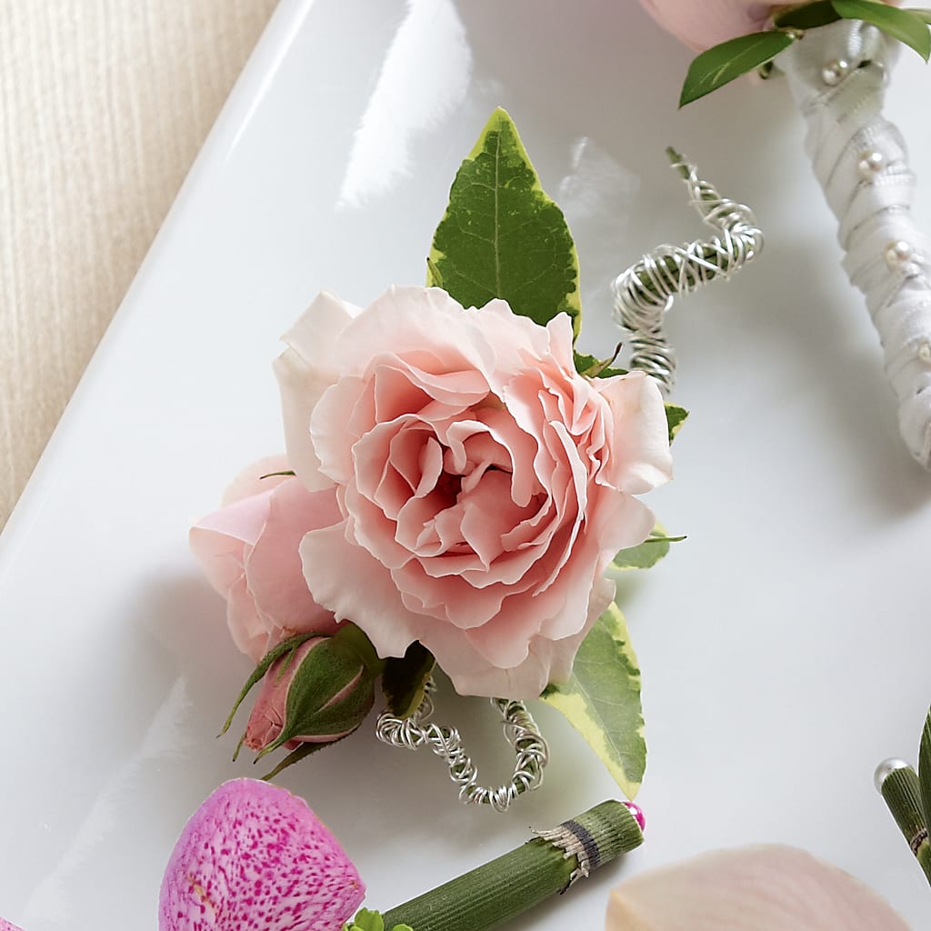 Pink Spray Rose Boutonniere – ANGELOS FLOWERS & GIFTS INC, Mississauga ON