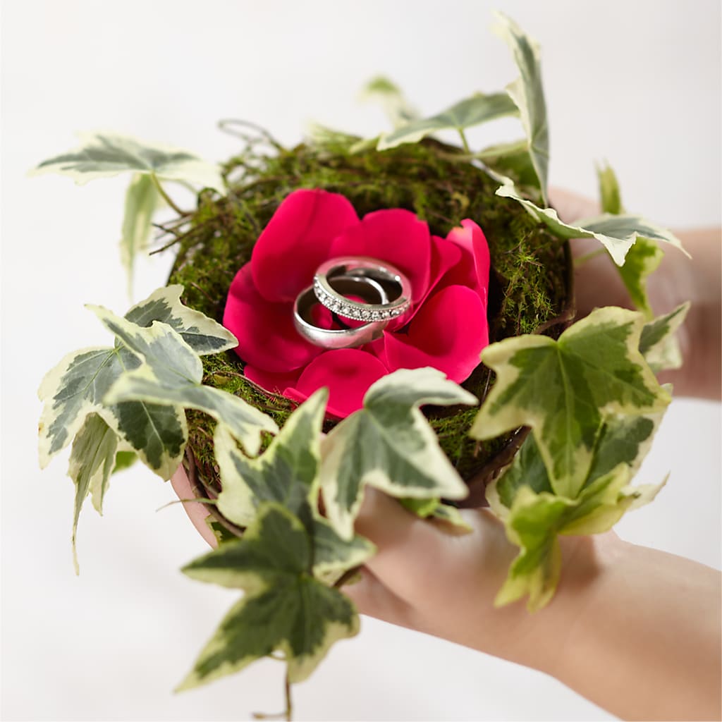 Lila Rose Ring Nest – ANGELOS FLOWERS & GIFTS INC, Mississauga ON