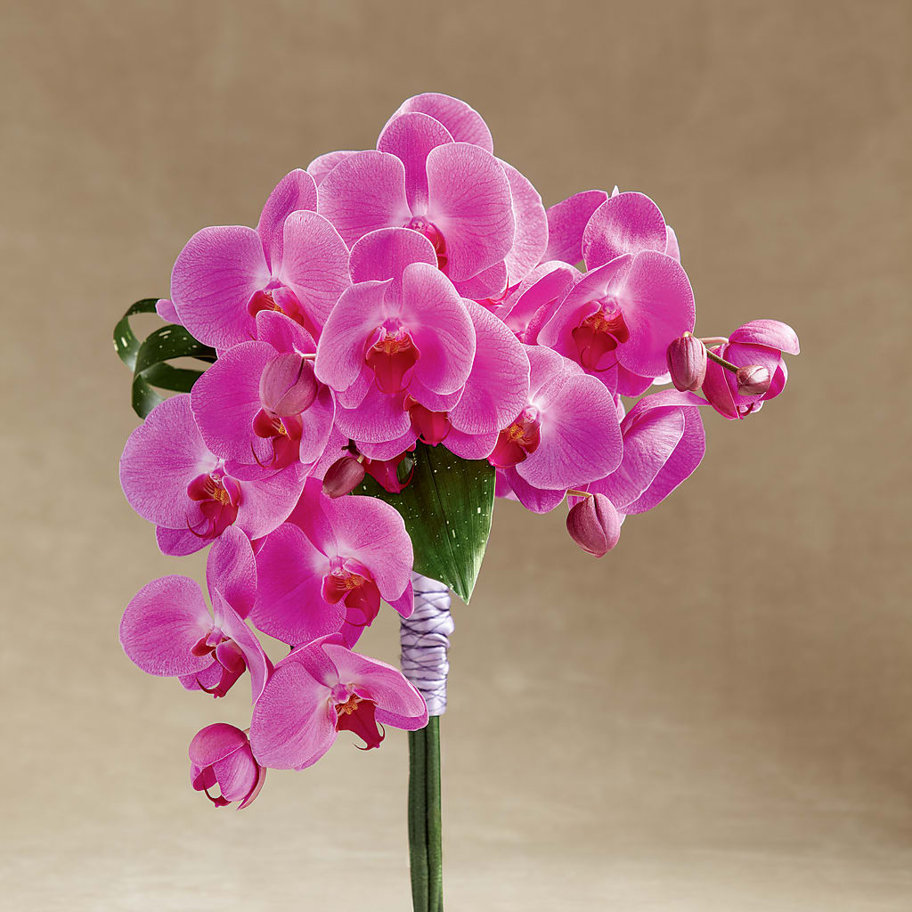 Glorious Bouquet – ANGELOS FLOWERS & GIFTS INC, Mississauga ON