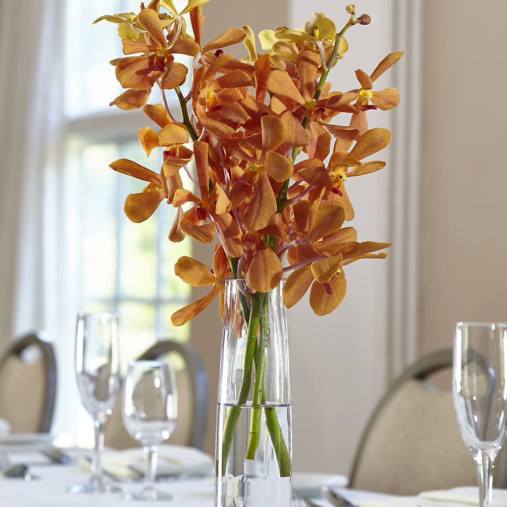 Orange Mokara Bud Vase – ANGELOS FLOWERS & GIFTS INC, Mississauga ON