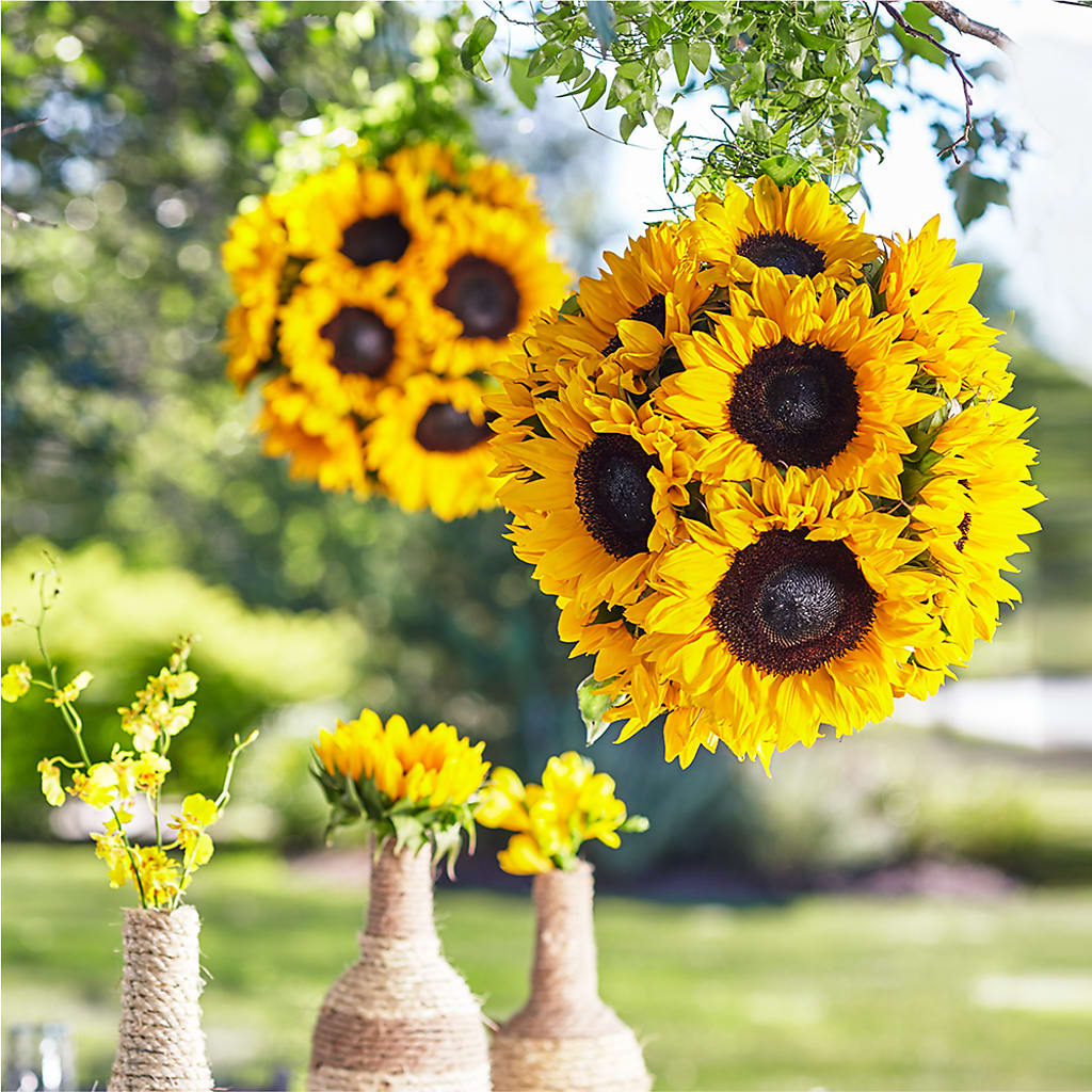 Sublime Garden Hanging Arrangement – ANGELOS FLOWERS & GIFTS INC, Mississauga ON