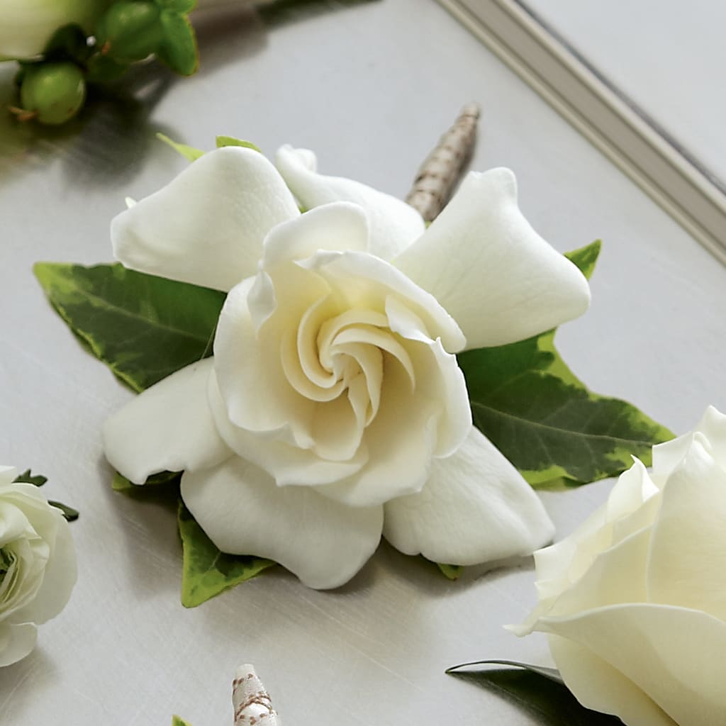 Gardenia Boutonniere – ANGELOS FLOWERS & GIFTS INC, Mississauga ON