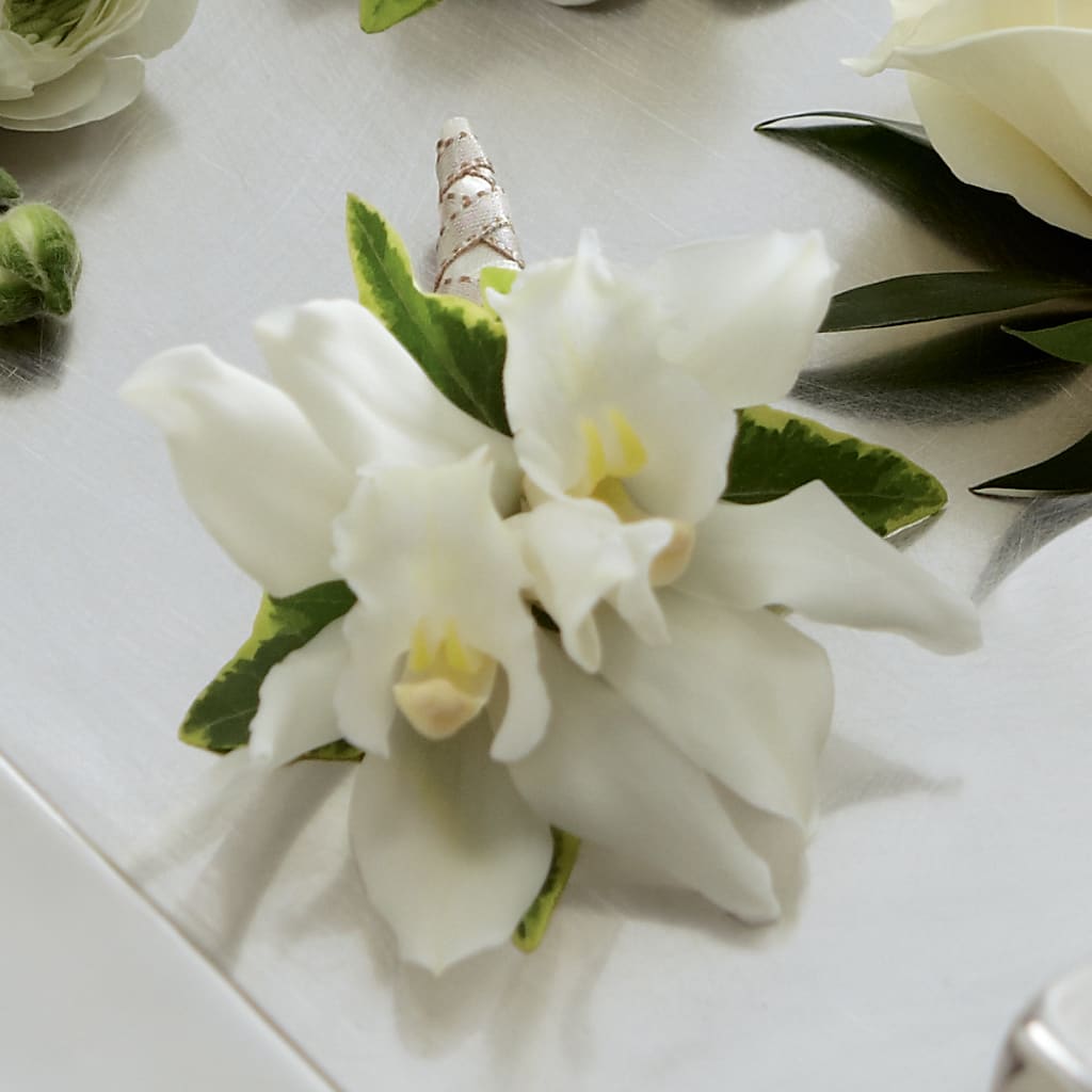 White Mini Cymbidium Boutonniere – ANGELOS FLOWERS & GIFTS INC, Mississauga ON