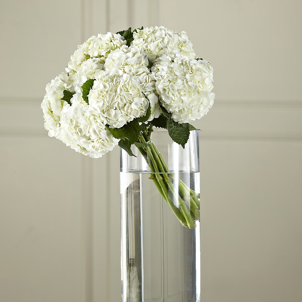White Hydrangea Hand-Tied Bouquet – ANGELOS FLOWERS & GIFTS INC, Mississauga ON