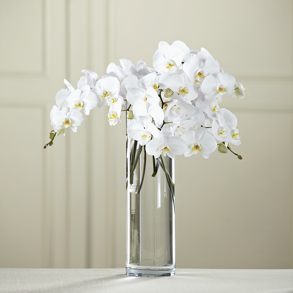 White Phalaenopsis Bouquet – ANGELOS FLOWERS & GIFTS INC, Mississauga ON
