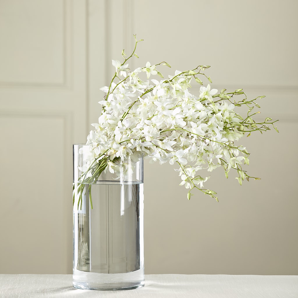 White Dendrobium Bouquet – ANGELOS FLOWERS & GIFTS INC, Mississauga ON