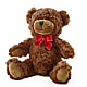 Adorable Plush Bear – ANGELOS FLOWERS & GIFTS INC, Mississauga ON