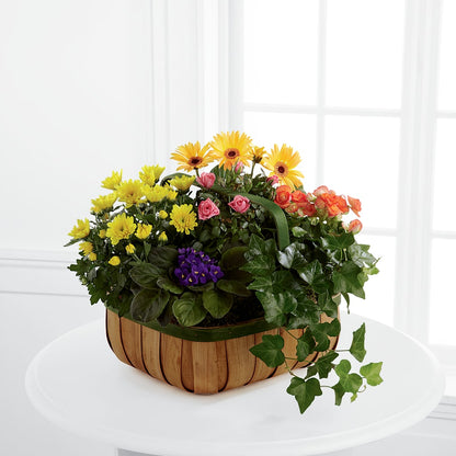 Gentle Blossoms Basket – ANGELOS FLOWERS & GIFTS INC, Mississauga ON