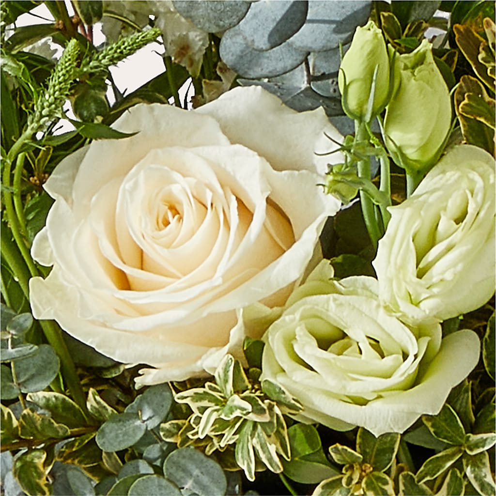 Cashmere Bouquet – ANGELOS FLOWERS & GIFTS INC, Mississauga ON