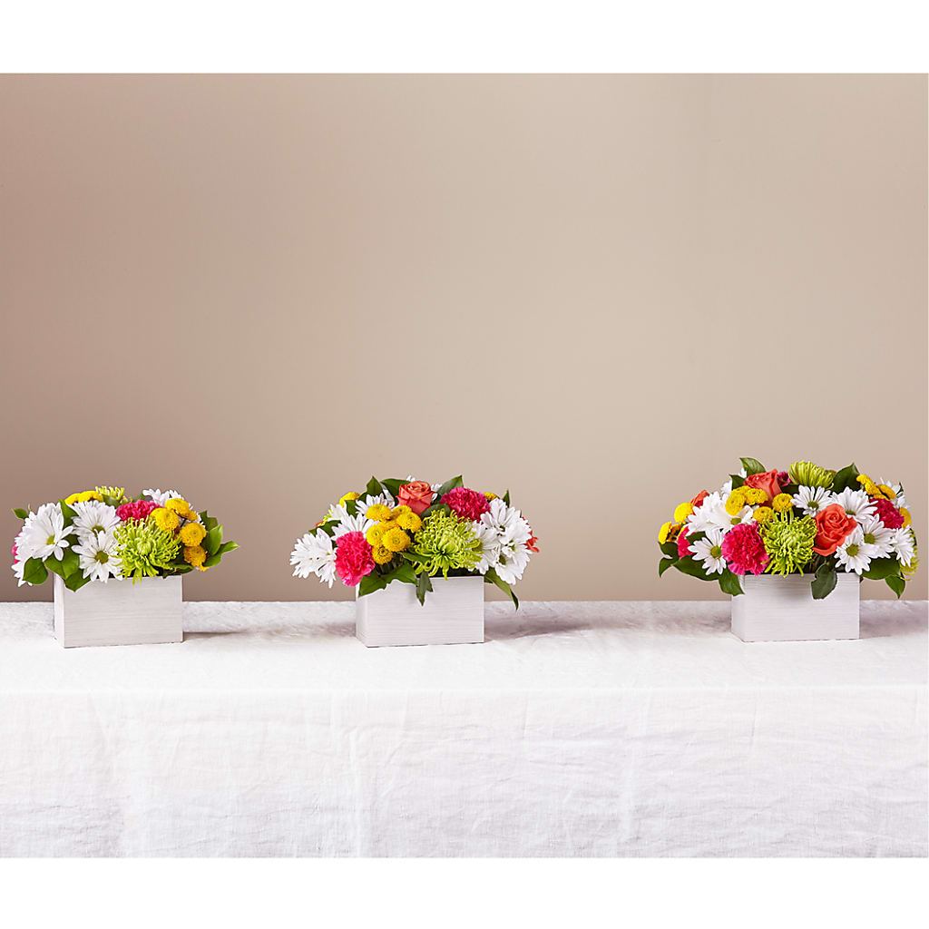 Sorbet Bouquet – ANGELOS FLOWERS & GIFTS INC, Mississauga ON