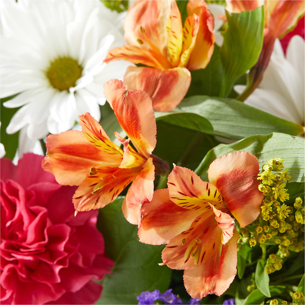 Oopsie Daisy Box Bouquet – ANGELOS FLOWERS & GIFTS INC, Mississauga ON