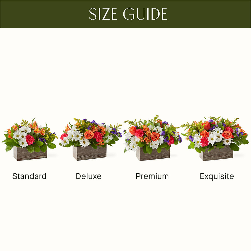 Oopsie Daisy Box Bouquet – ANGELOS FLOWERS & GIFTS INC, Mississauga ON