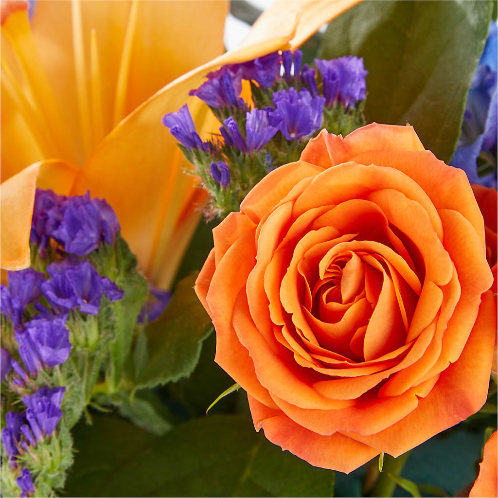 Radiant Citrus Box Bouquet – ANGELOS FLOWERS & GIFTS INC, Mississauga ON