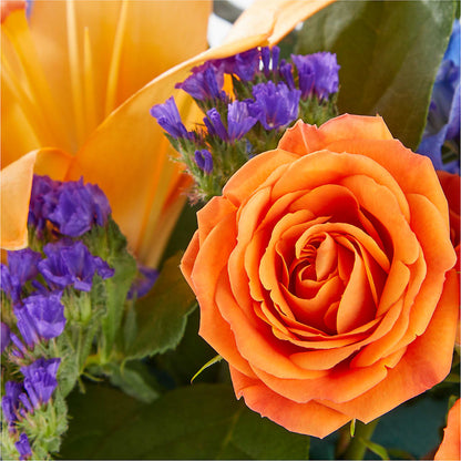 Radiant Citrus Box Bouquet – ANGELOS FLOWERS & GIFTS INC, Mississauga ON