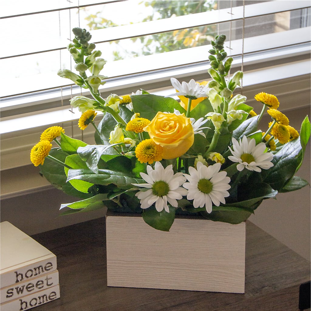 Sun Salutation Box Bouquet – ANGELOS FLOWERS & GIFTS INC, Mississauga ON