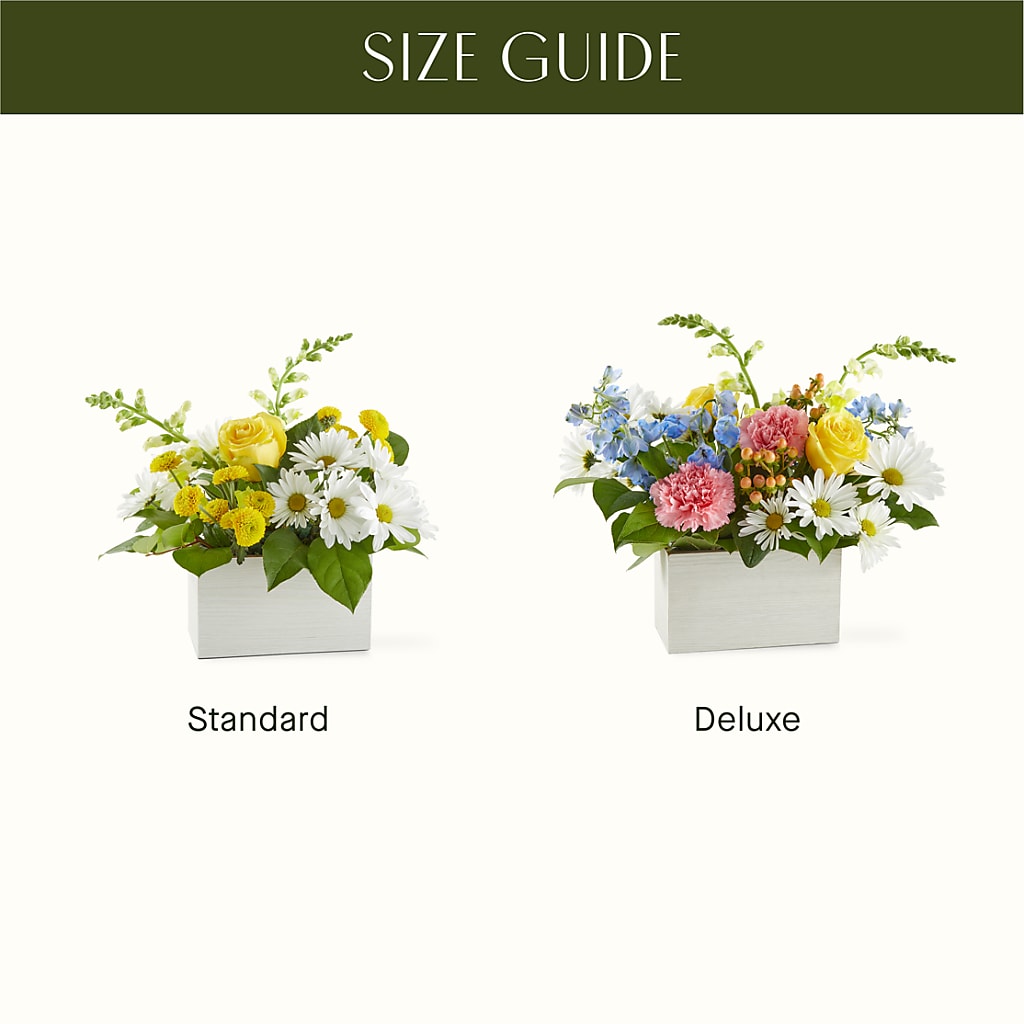 Sun Salutation Box Bouquet – ANGELOS FLOWERS & GIFTS INC, Mississauga ON