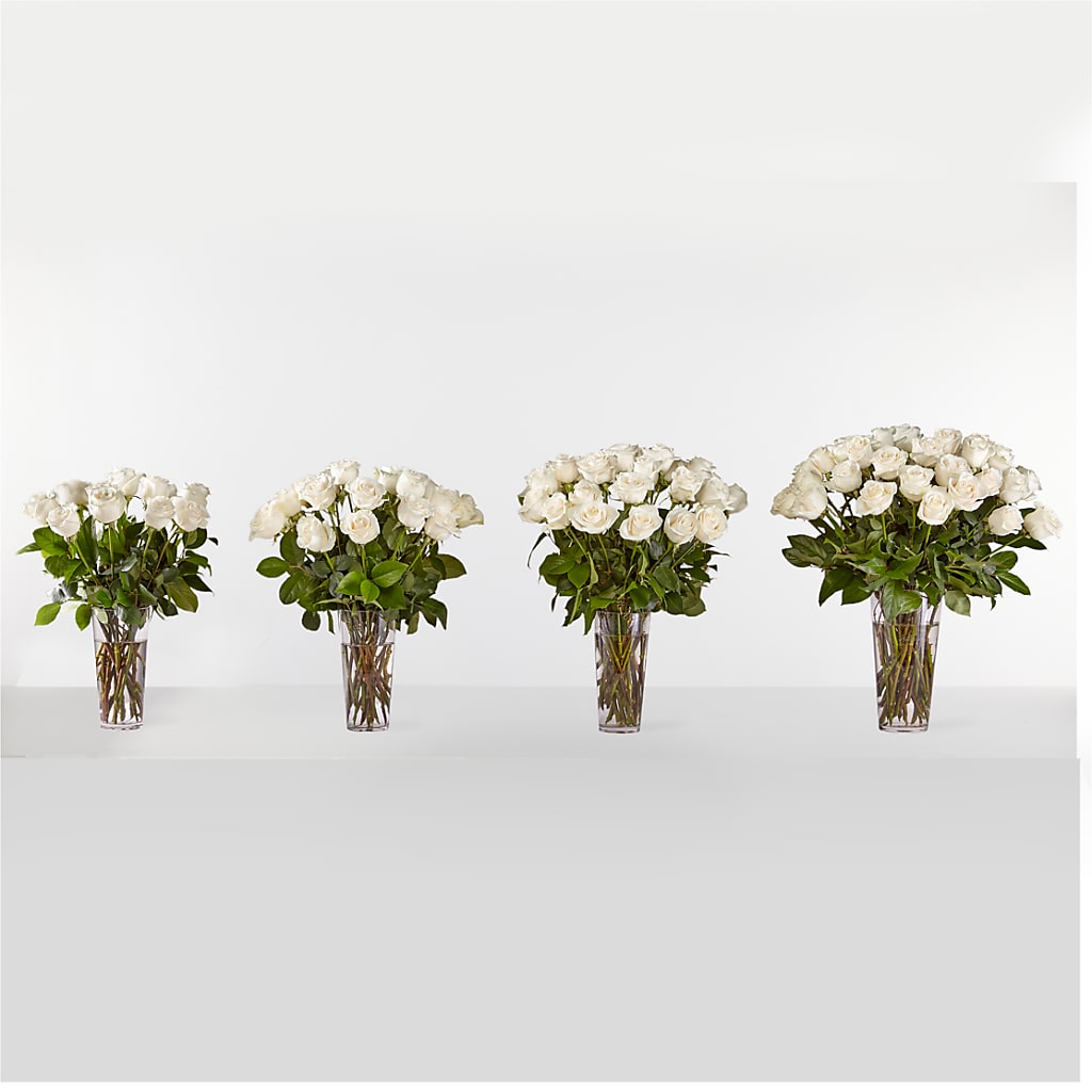 Long Stem White Rose Bouquet – ANGELOS FLOWERS & GIFTS INC, Mississauga ON
