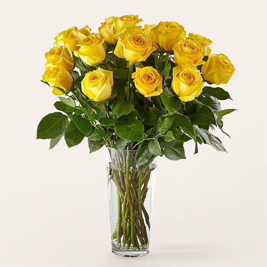 Long Stem Yellow Rose Bouquet – ANGELOS FLOWERS & GIFTS INC, Mississauga ON