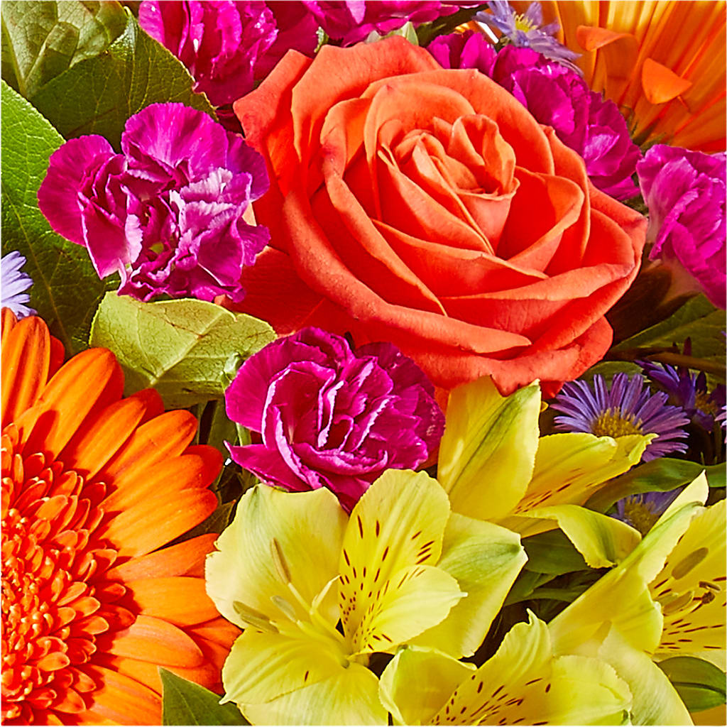 Tricks & Treats Pumpkin – ANGELOS FLOWERS & GIFTS INC, Mississauga ON