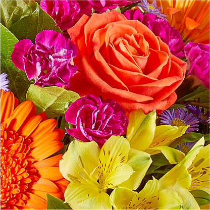 Tricks & Treats Pumpkin – ANGELOS FLOWERS & GIFTS INC, Mississauga ON