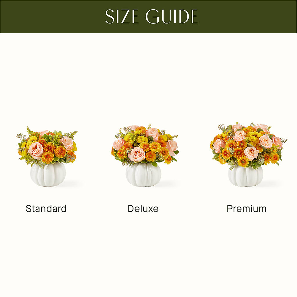 Peachy Pumpkin – ANGELOS FLOWERS & GIFTS INC, Mississauga ON