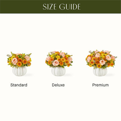 Peachy Pumpkin – ANGELOS FLOWERS & GIFTS INC, Mississauga ON