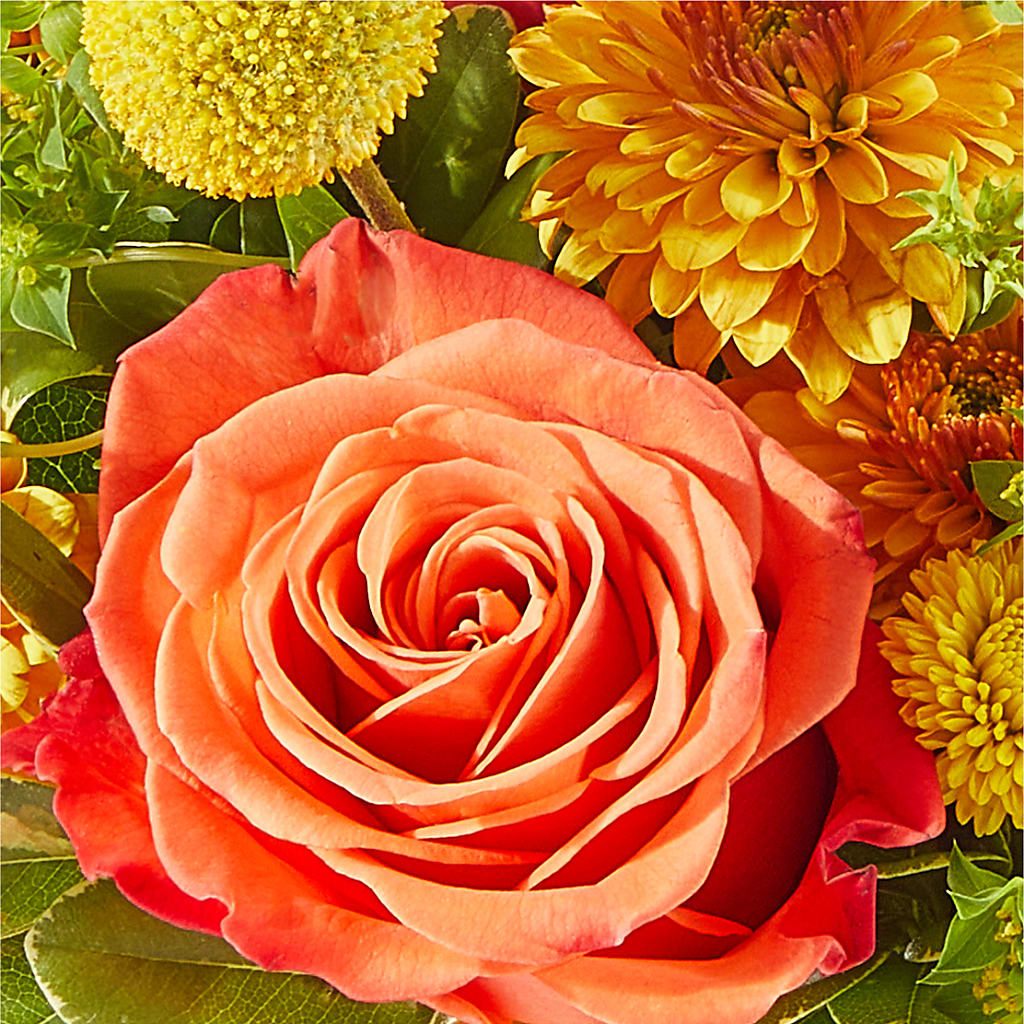 Gourdgeous Pumpkin – ANGELOS FLOWERS & GIFTS INC, Mississauga ON