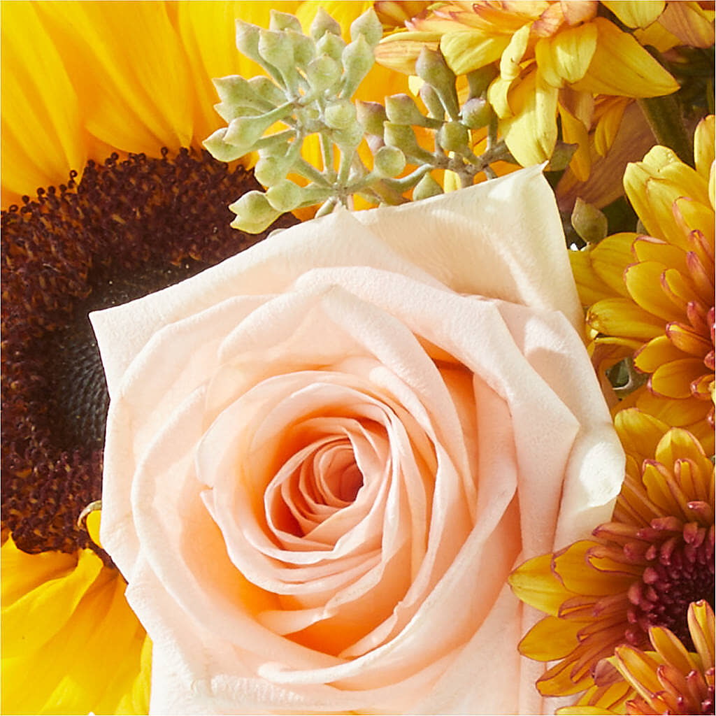 Pumpkin to Talk About Bouquet – ANGELOS FLOWERS & GIFTS INC, Mississauga ON
