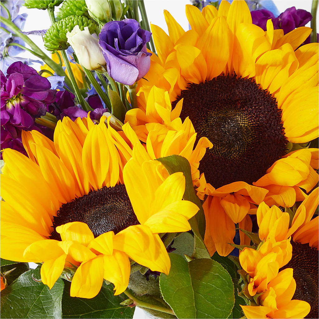 Catching Rays Bouquet – ANGELOS FLOWERS & GIFTS INC, Mississauga ON