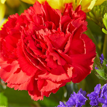 Brighter Days Bouquet – ANGELOS FLOWERS & GIFTS INC, Mississauga ON