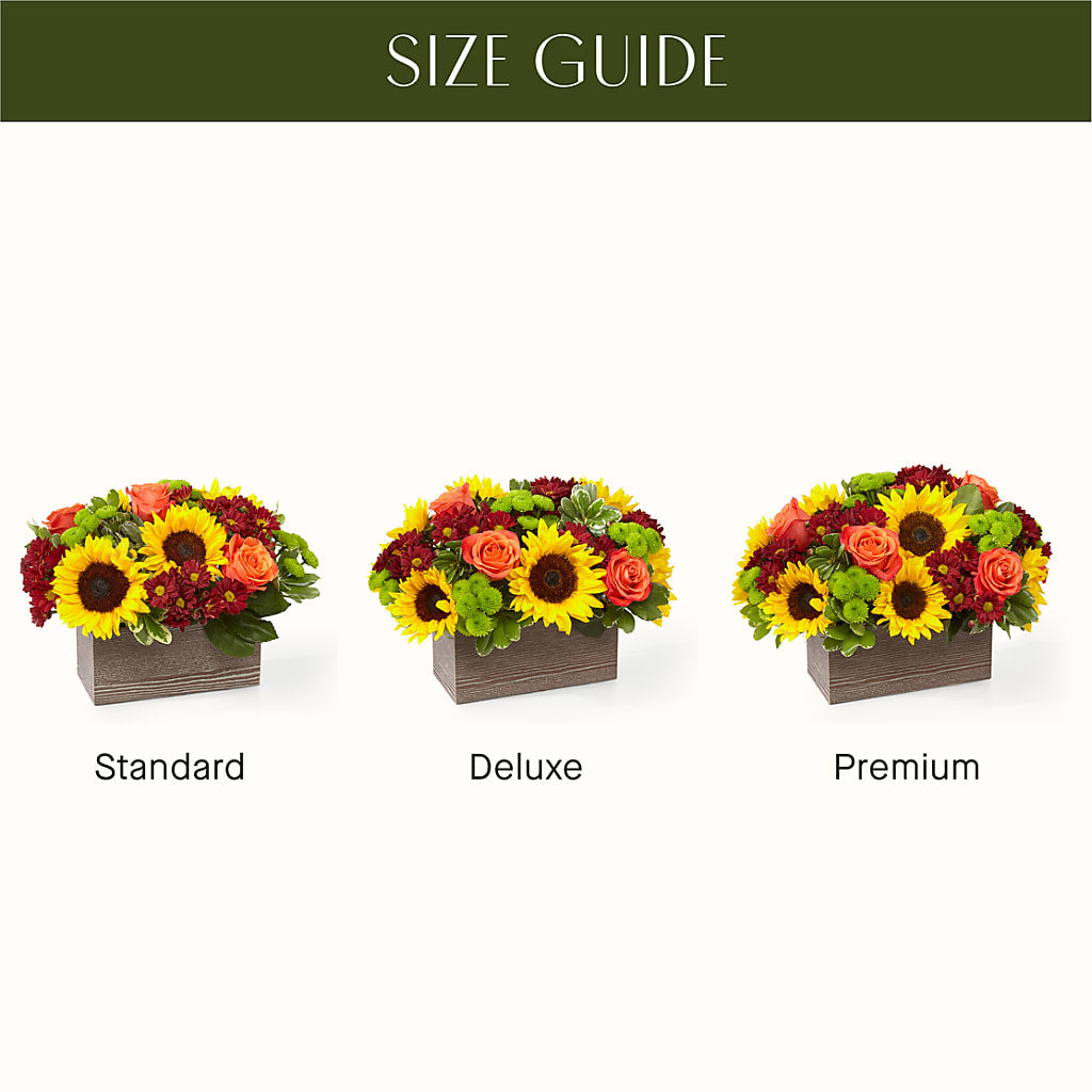 Happy Harvest Garden – ANGELOS FLOWERS & GIFTS INC, Mississauga ON