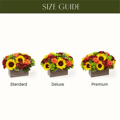 Happy Harvest Garden – ANGELOS FLOWERS & GIFTS INC, Mississauga ON