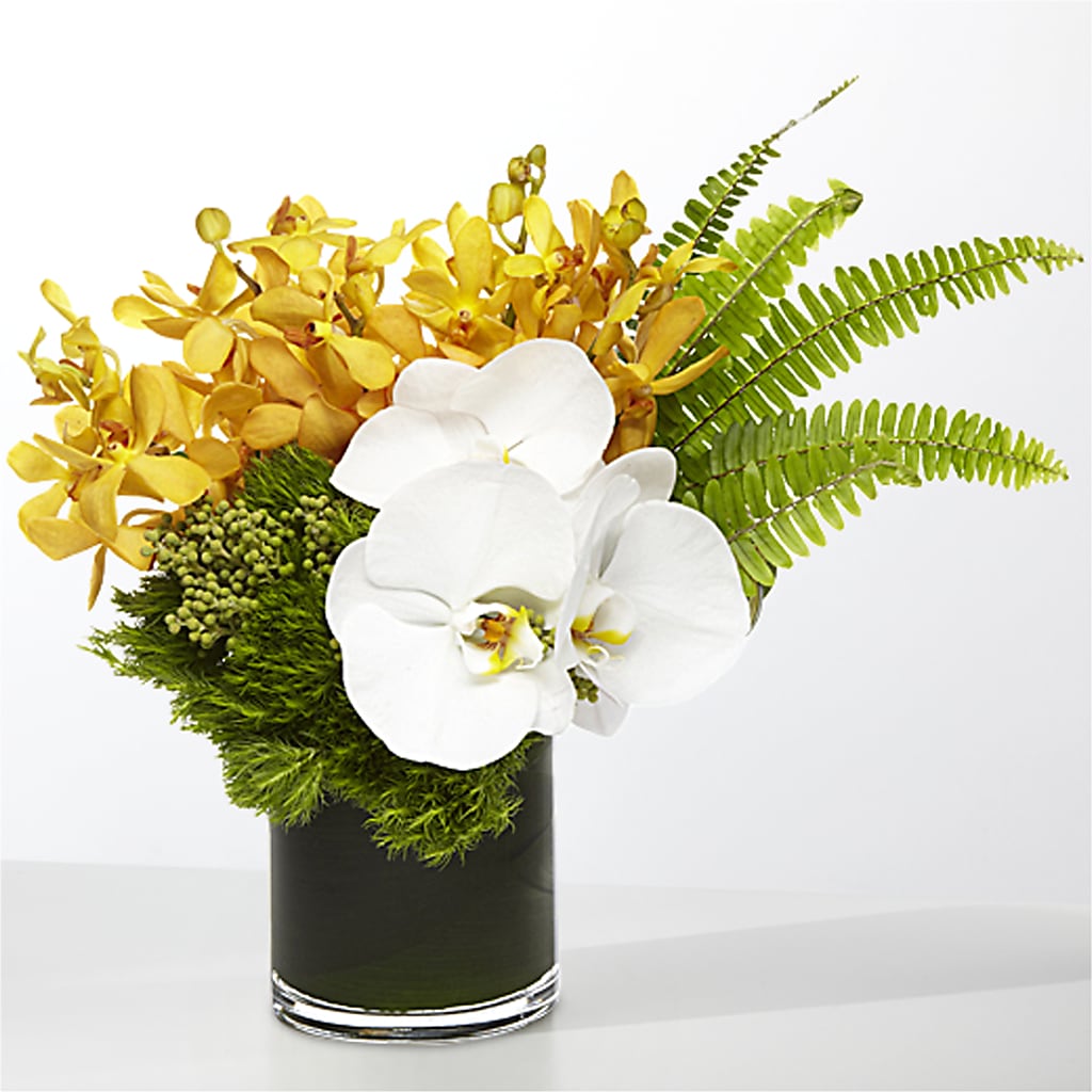 The Tropics – ANGELOS FLOWERS & GIFTS INC, Mississauga ON