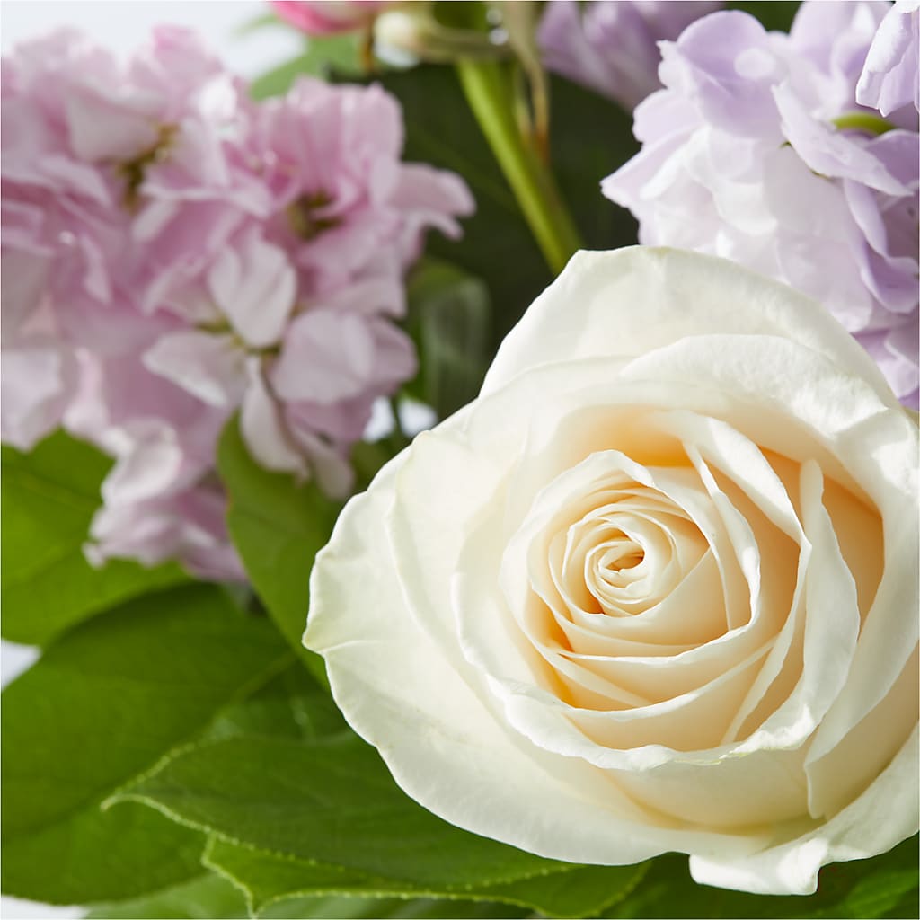Springtime Spritz Bouquet – ANGELOS FLOWERS & GIFTS INC, Mississauga ON